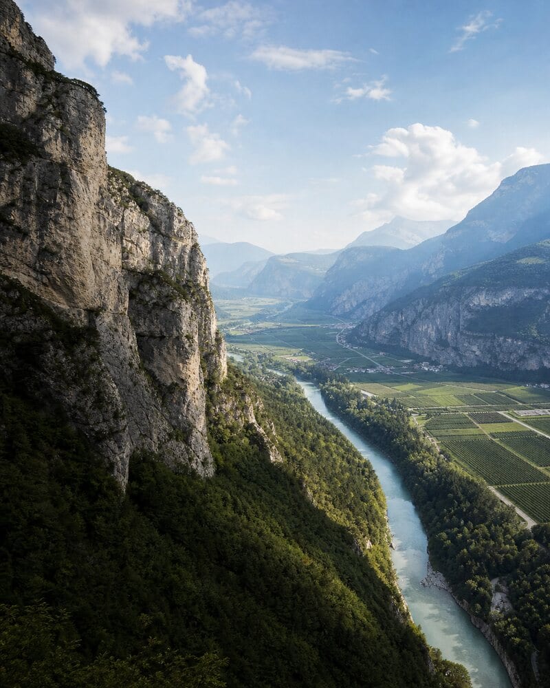 Weinberge im Trentino in einem alpinen Tal
