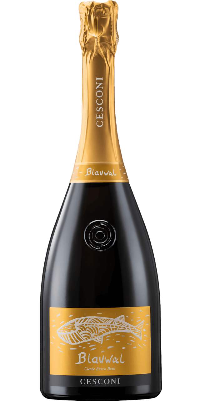 Trento Spumante DOC Extra Brut Blauwal Bio Cesconi - 0,75 L