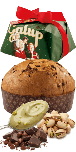 Panettone mit dunkler Schokolade und gefüllt mit Pistaziencreme 900g Galup - 900 g
