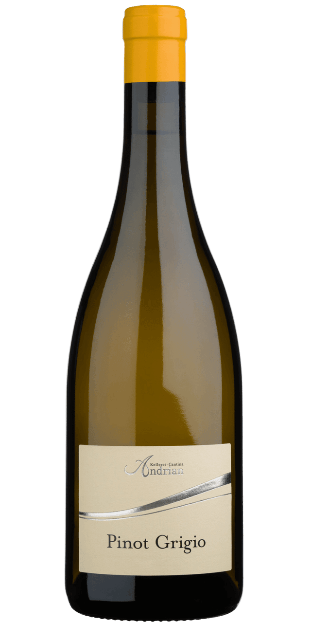 Südtiroler Pinot Grigio DOC - Kellerei Andrian - 0,75 L / 2025
