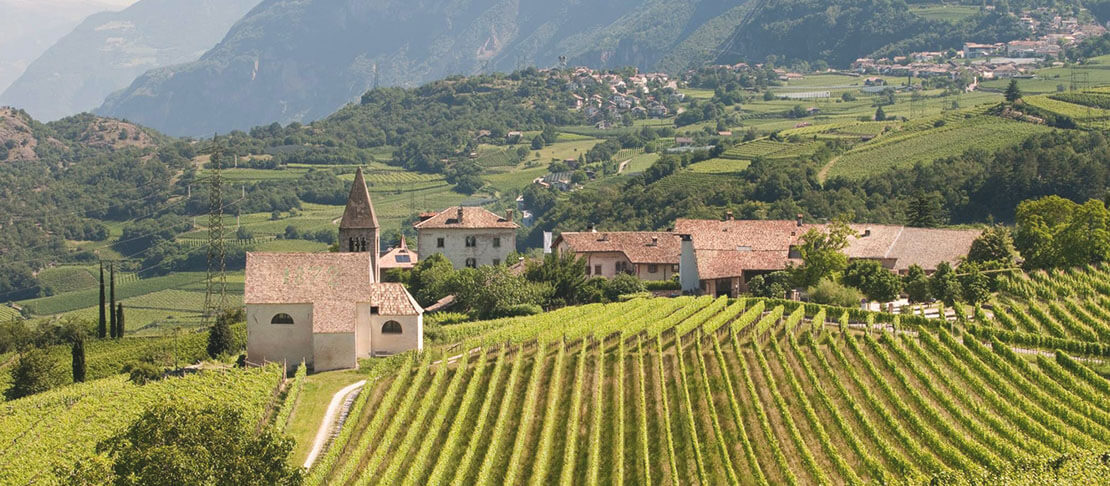 Banner Weingut J. Hofstätter