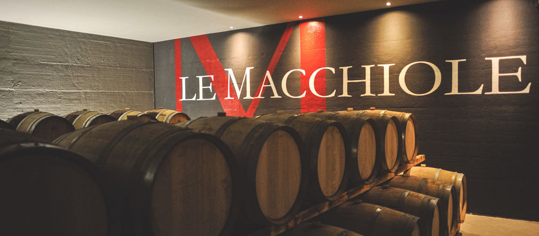 Banner Tenuta Le Macchiole