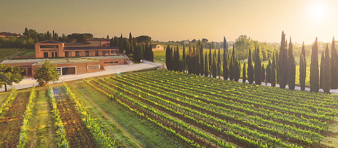 Banner Poliziano