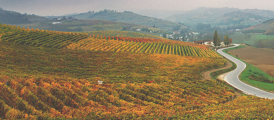 Banner Poderi Colla