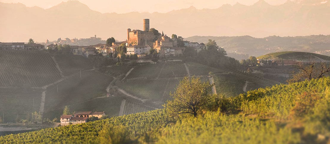 Banner Vietti