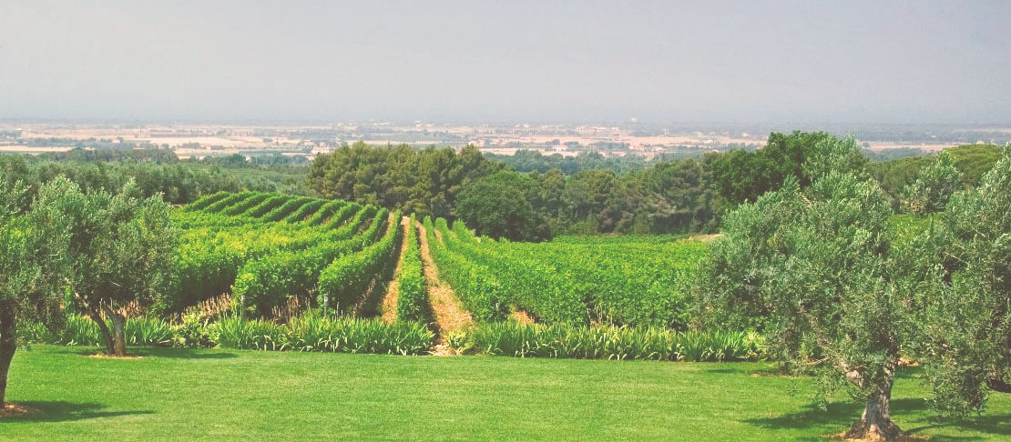 Banner Campo di Sasso