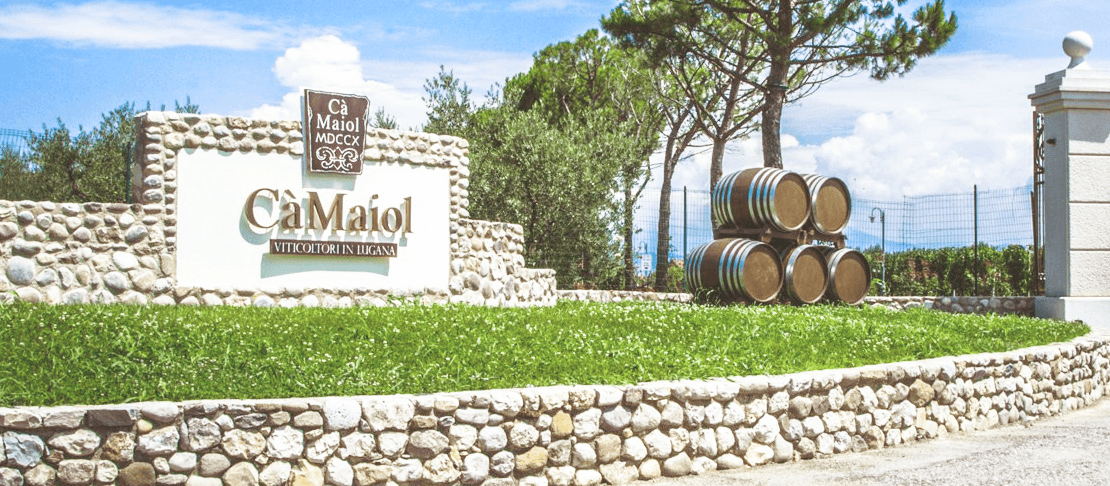 Banner Cà Maiol