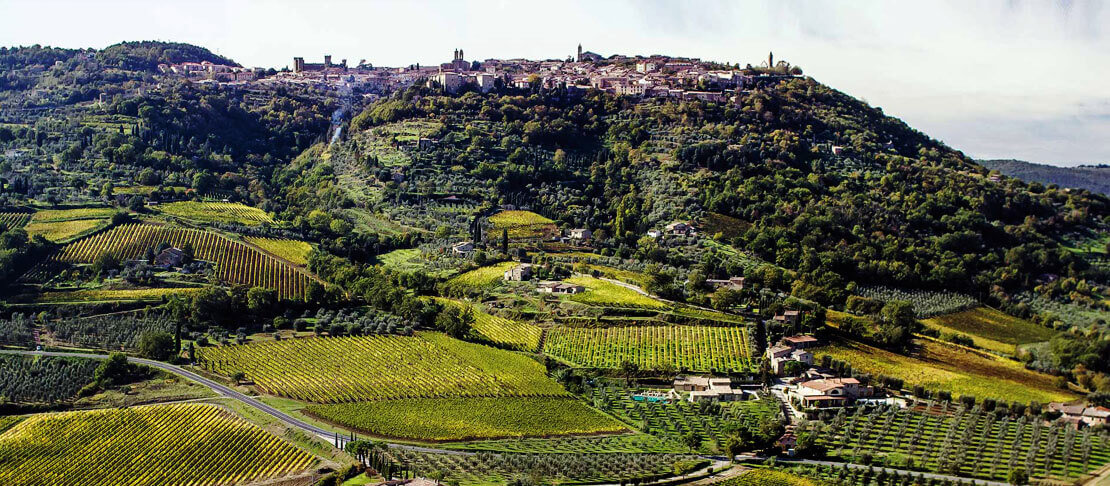 Banner Canalicchio di Sopra