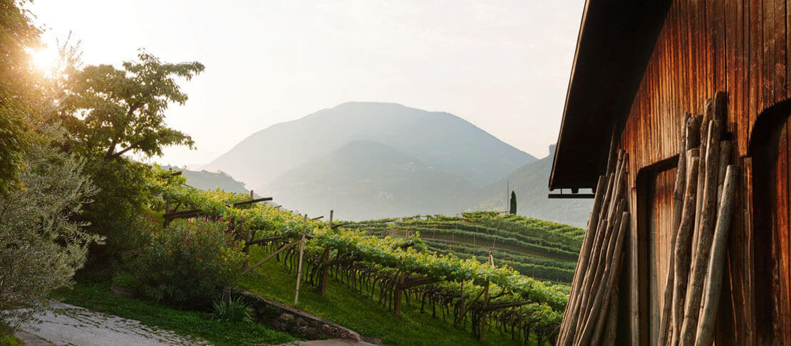 Banner Tenuta Obermoser