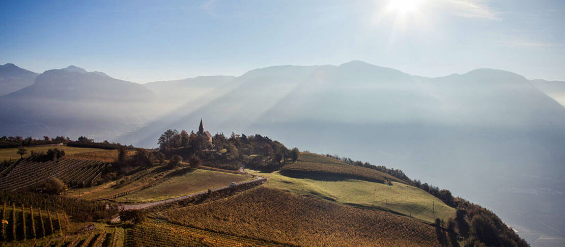 Banner Kellerei Kurtatsch Wein