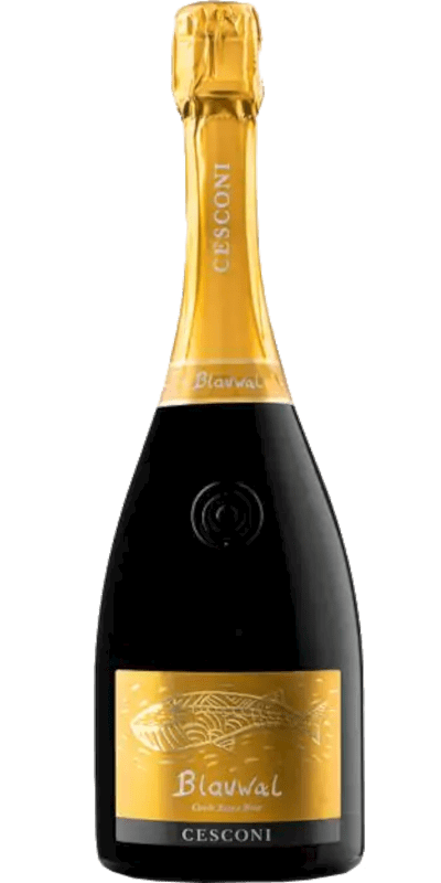 Cesconi Trento DOC Spumante Blauwal - 0,75 L