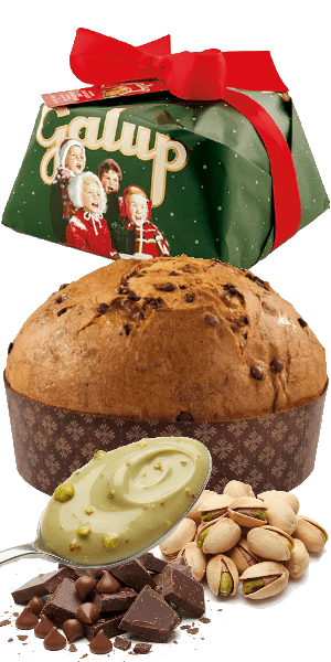 Panettone mit dunkler Schokolade und gefüllt mit Pistaziencreme 900g Galup