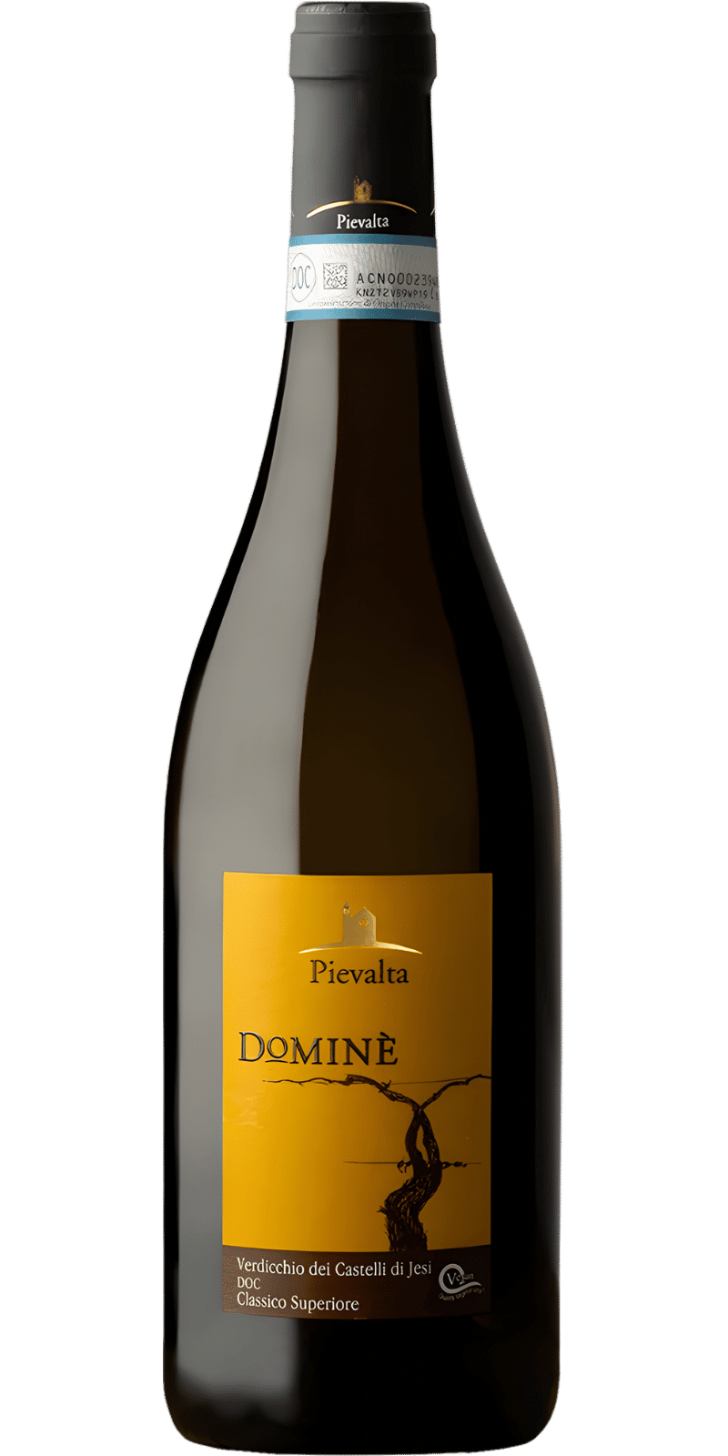 Dominè Verdicchio dei Castelli di Jesi DOC Classico Superiore - Pievalta